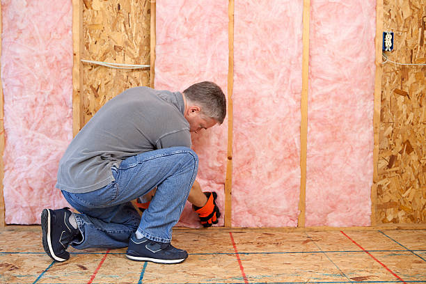 Best Commercial Insulation in Dike, IA