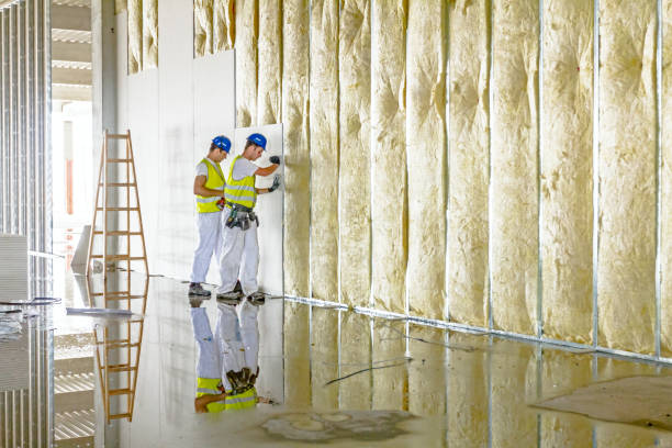 Trusted IA Insulation Contractor Experts